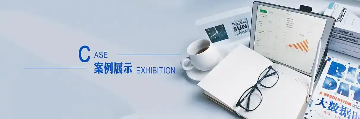 文成县软件开发